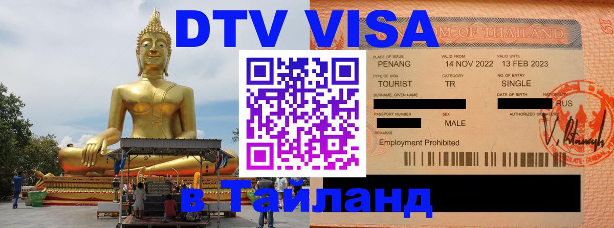 Сколько стоит DTV виза — актуальные цены, оформление даже без документов - 08.12.2025 